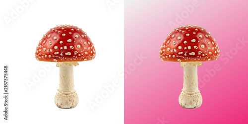 Konstfotografi Vibrant Red Fly Agaric Mushrooms Isolated on White and Pink Gradient Background