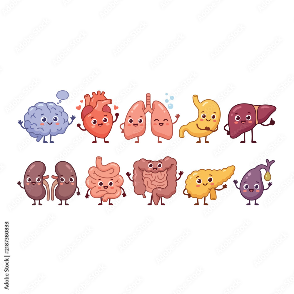 Fototapeta premium Cute cartoon human organs collection with smiling faces