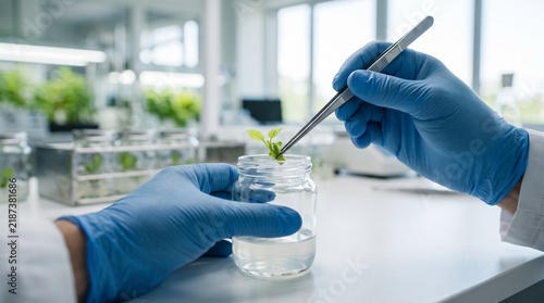 Scientist examines plant sprout in laboratory for research