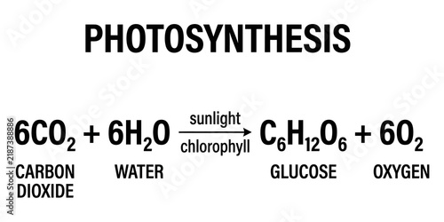 Cuadro en lienzo Photosynthesis equation showing conversion of carbon dioxide and water to glucose and oxygen with sunlight