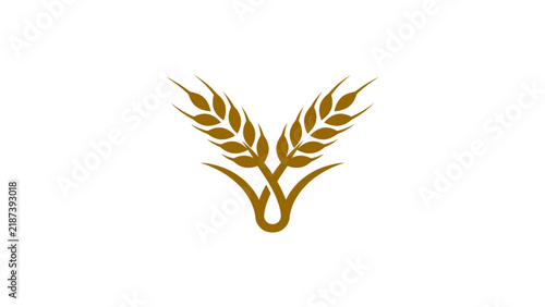 Wheat Ears Icon Isolated On White Background