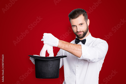 Cuadro en lienzo Portrait of attractive stylish entertainer with bristle, stubble, hairstyle, hav