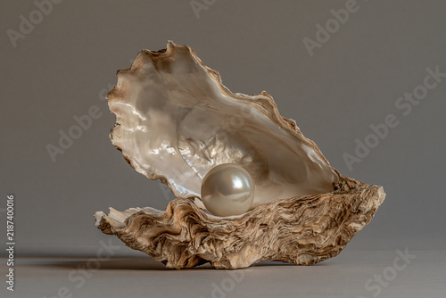 Natural white pearl resting inside an open textured oyster shell with sea shell