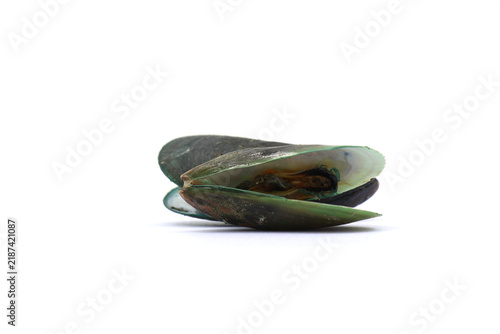 Foto These bivalve mollusks are commonly harvested for food
