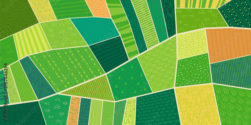 Obraz premium Rural farm field top view background, green agriculture plantation abstract pattern. Aerial map of countryside landscape top view with green grass meadow and vineyard, corn rice and wheat farm fields