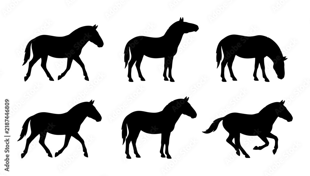 Obraz premium Horse Silhouettes Collection: Galloping, Standing, Grazing Equine Vector Icons
