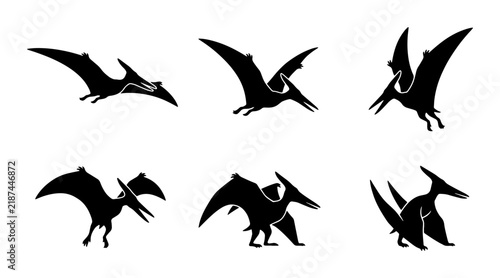 Foto Pterodactyl Silhouettes, Flying Dinosaur Icons, Prehistoric Creature Vector Set