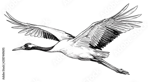 Elegant white crane in flight over open sky illustration.