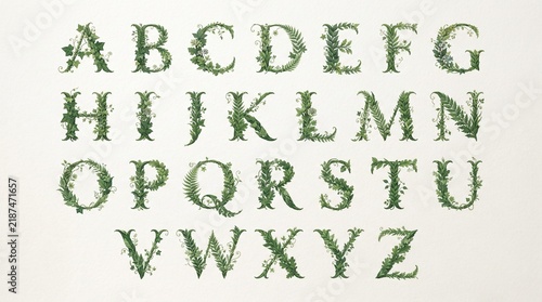 Botanical alphabet A-Z. Elegant serif letters formed from green leaves, ferns, ivy, and floral vines on a cream background.