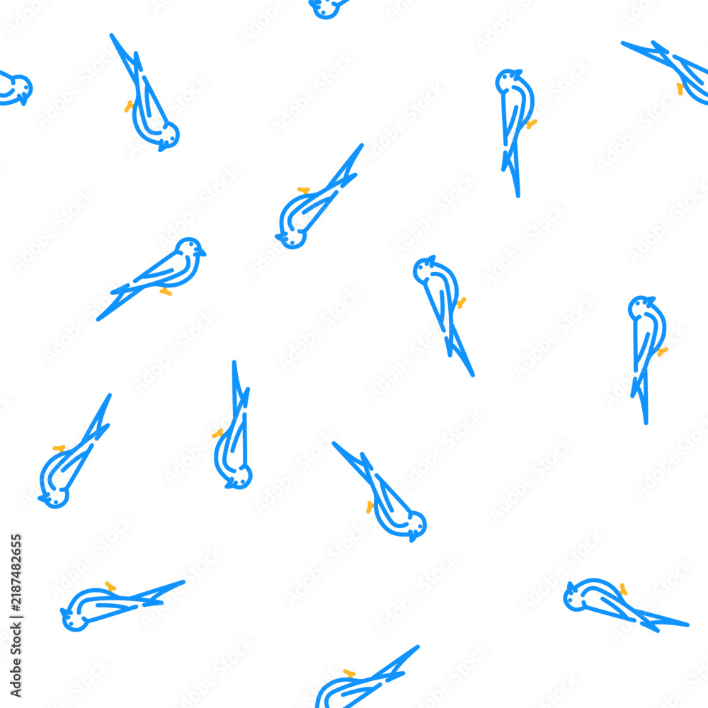 Fototapeta premium swift bird vector seamless pattern swift bird sign illustration