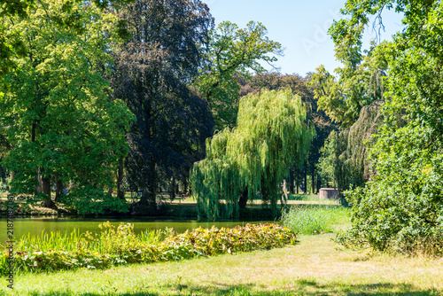 View of dutch garden with pond