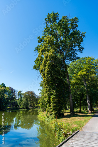 Footpath across pond in dutch garden