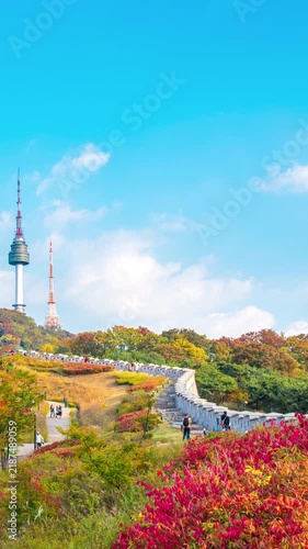Vertical video, 4k Timelapse Autumn season, Seoul City South Korea and blue sky