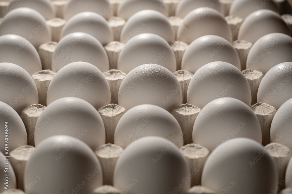 Obraz premium Fresh organic farm white chicken eggs in cardboard egg tray