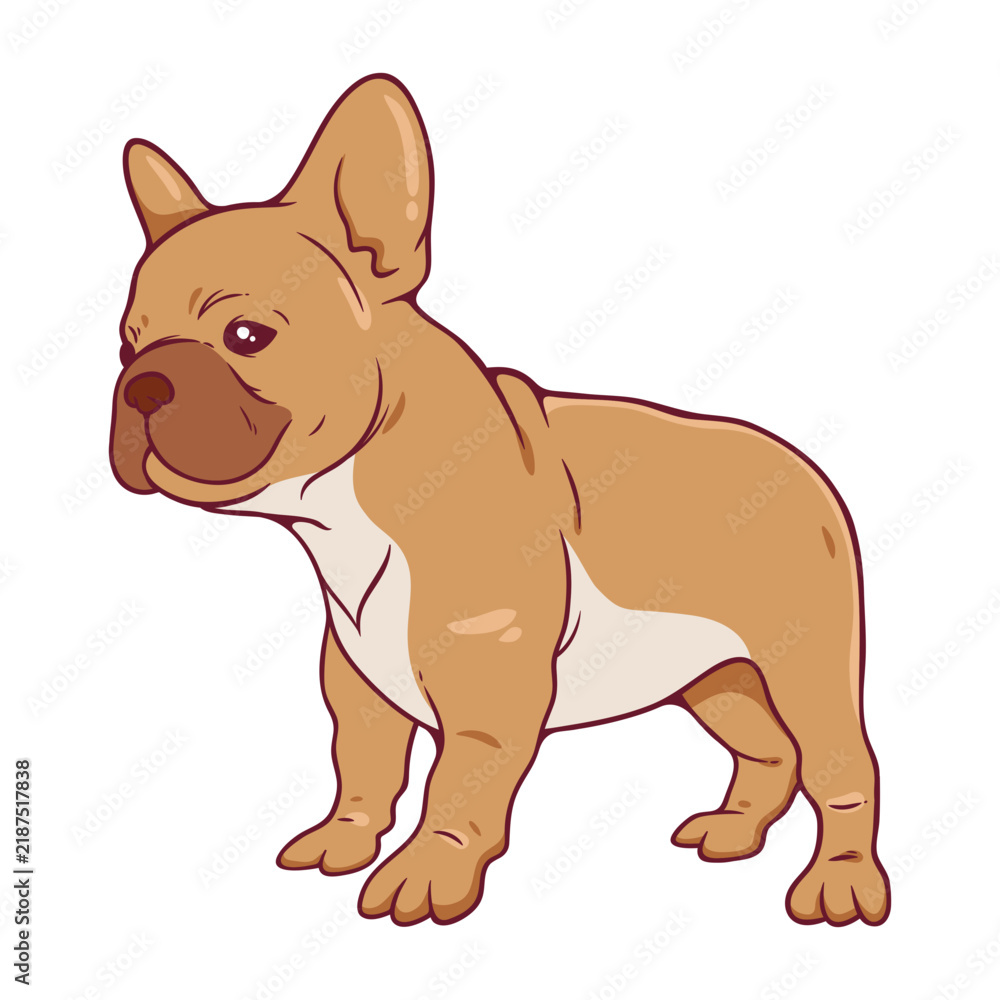 Fototapeta premium French bulldog standing cartoon illustration
