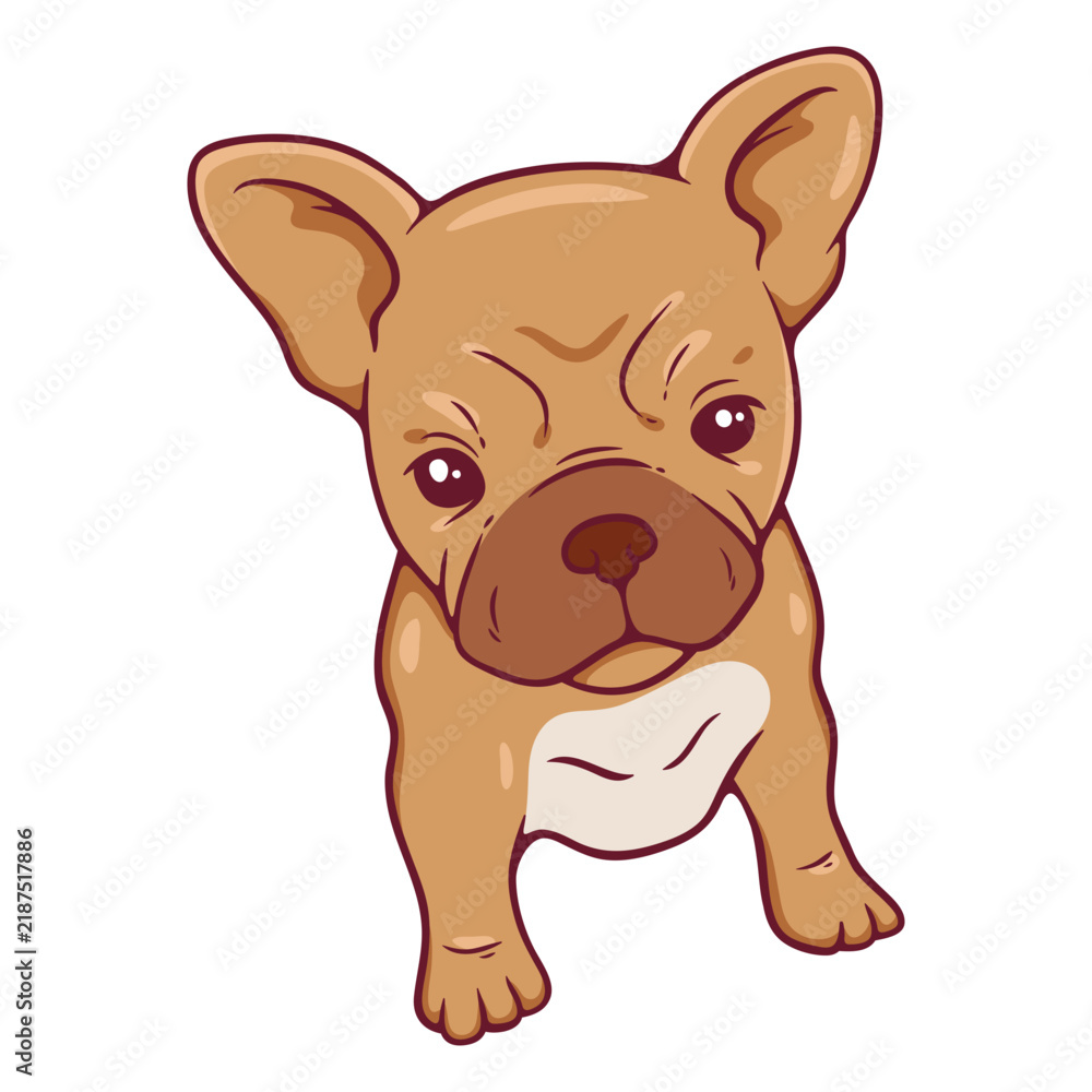 Fototapeta premium French bulldog sitting cartoon character