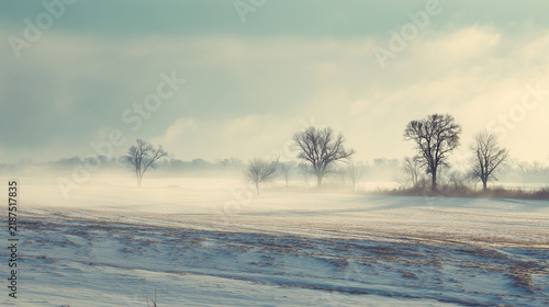 winter landscape with fog