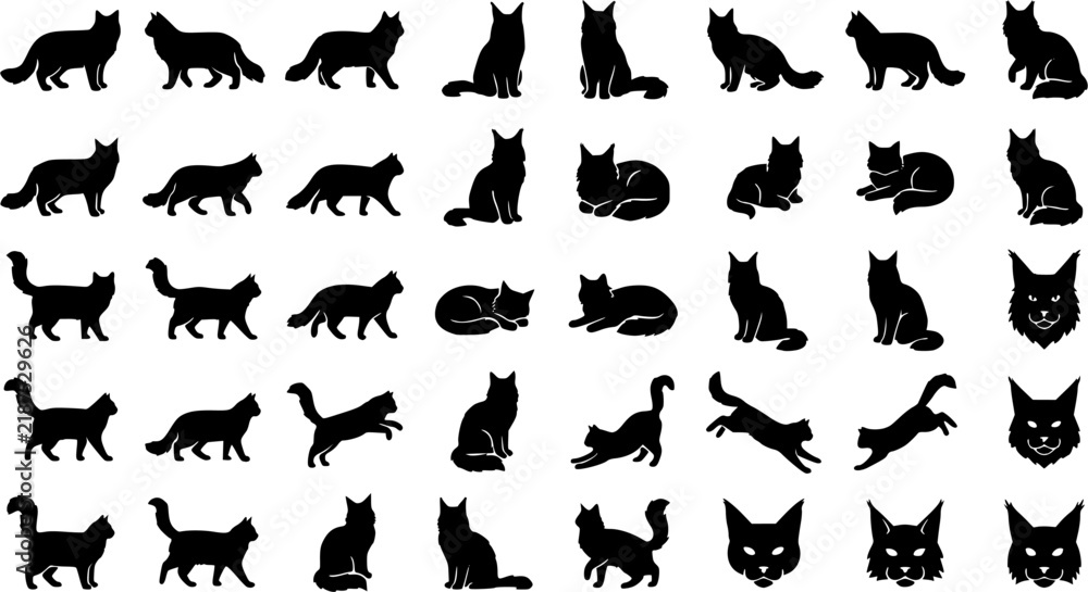 Fototapeta premium Persian Cat Breed Icon Set – Silhouette Style. Covers longhair cat, fluffy cat breed, flat-face cat & more. Solid black glyph, transparent background.