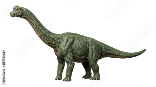 Green brachiosaurus dinosaur model standing on transparent background for prehistoric education designs.