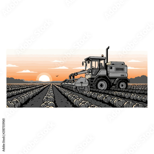 Tractor Harvesting Crops at Sunset in a Farm Field