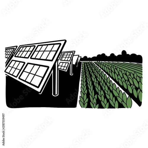 Solar Panels and Agricultural Field Side by Side