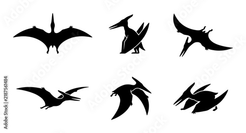 Bild auf Leinwand Pterodactyl Silhouettes, Flying Dinosaur Icons, Prehistoric Vector Graphics, Anc