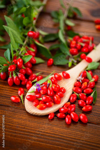 Konstfotografi Red goji berries with green branches on brown wooden background