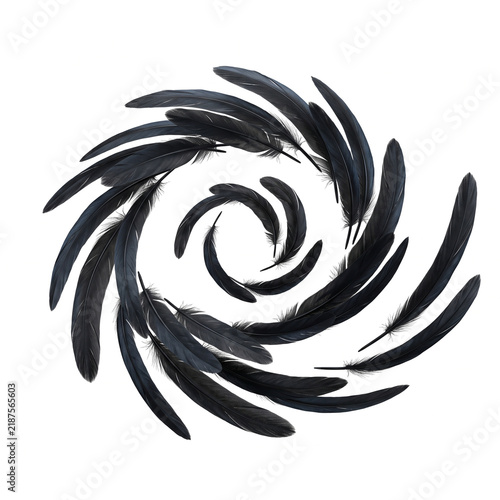 Floating Black Raven Feather Spiral | Transparent