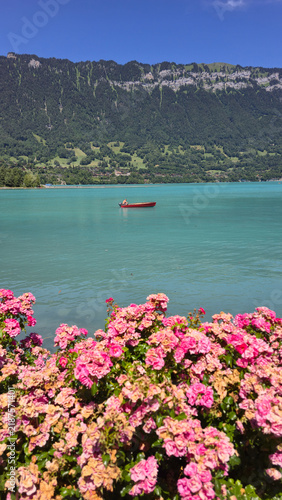 Bild auf Leinwand Stunning view of turquoise lake and blooming flowers in Interlaken, Switzerland