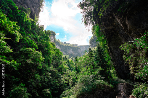 Принти на полотні Lush green canyon between towering cliffs in Wulong, China