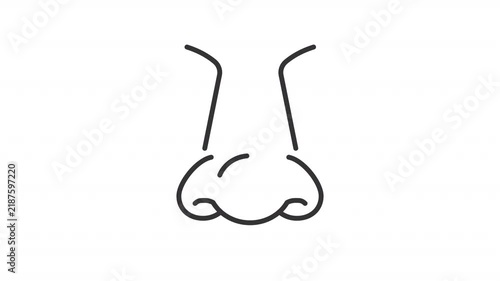 Animated human symmetrical nose outline icon. Facial body part animation. Respiratory health. Medical rhinology for healthy breathing. Flat line motion graphic loop on transparent white
