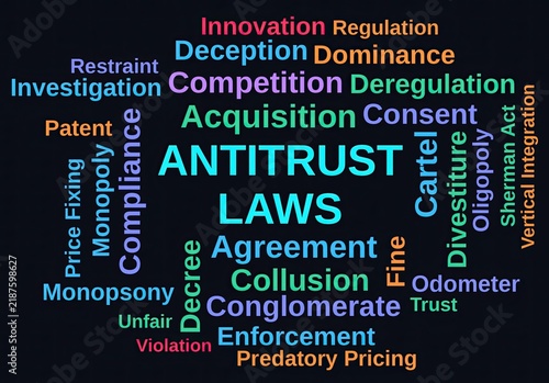 Cuadro en lienzo Antitrust Laws Word Cloud on a Dark Background