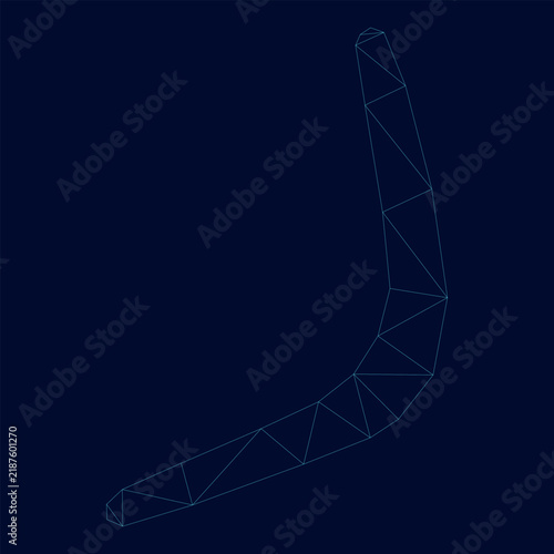 Картината върху платно Boomerang low poly triangulation triangulated polygonal electric cyan blue vibra