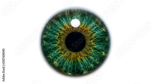 Detailed macro capture of a human eye, highlighting the unique and vibrant green and hazel pattern of the iris, with a clear dark pupil at its core