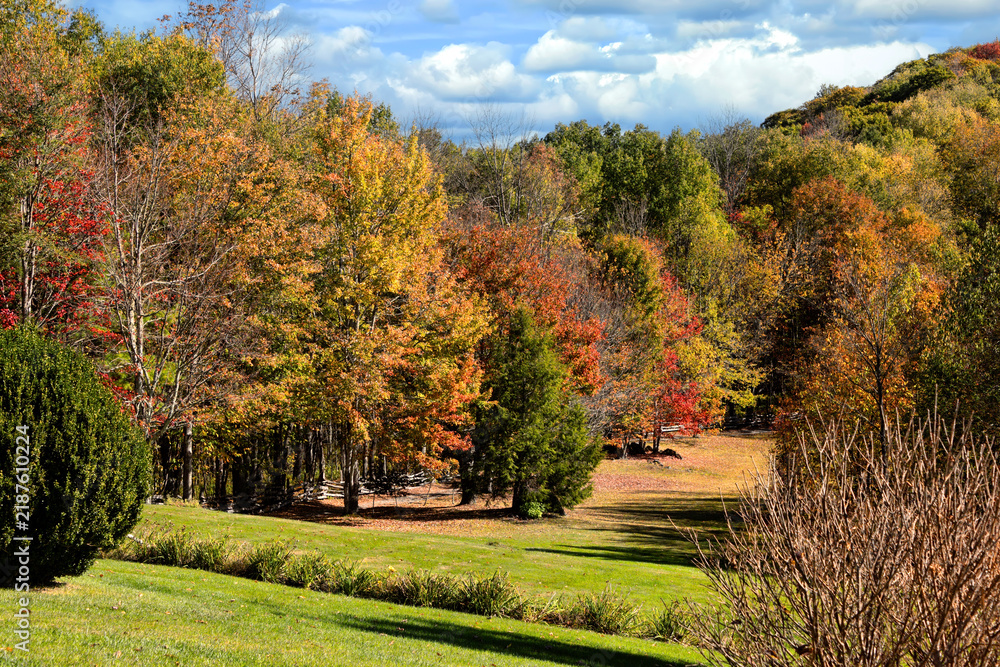 Obraz premium Autumn Colors in the North Carolina Mountains.