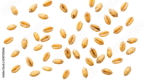 Top view of many wheat grains isolated on transparent background