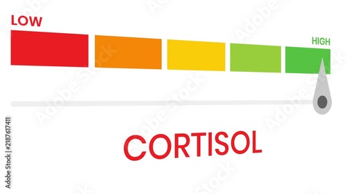 Cortisol gauge level 4k animation progress indicator  from low to high