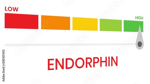 Endorphin gauge level 4k animation progress indicator  from low to high