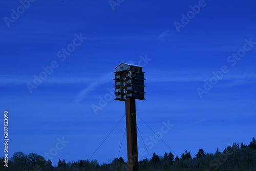 Quadro su tela Wood duck nest box on post against deep blue twilight sky, Jackson Bottom Wetlan