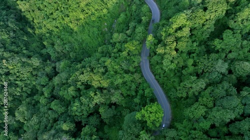 Aerial forest road with car creating abstract background for electric vehicle, ESG, sustainability and green investment business concepts.