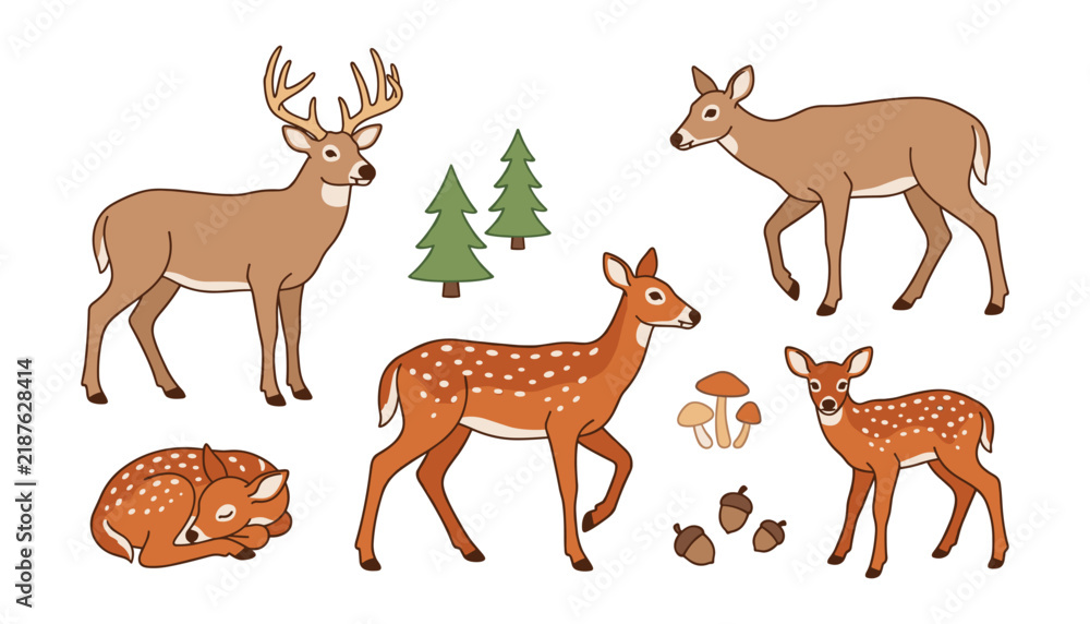 Obraz premium Cute Woodland Deer and Spotted Fawn Character Set with Pine Trees, Mushrooms, and Acorns for Nursery Room Wall Art and Children Book Illustrations