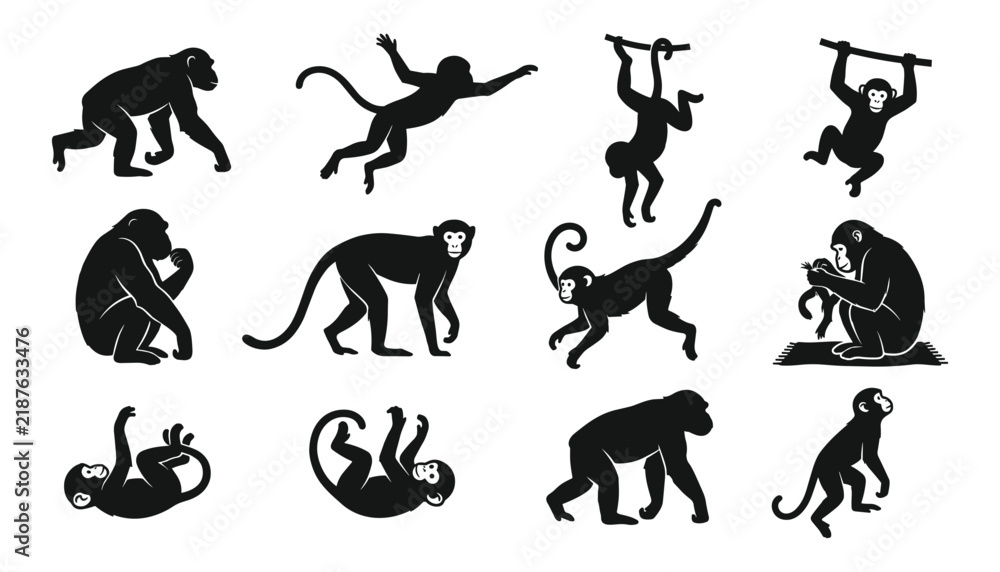 Fototapeta premium Monkey Silhouette Vector Graphic Set with Isolated Black Chimpanzee, Gorilla, and Ape Shapes Hanging, Climbing, and Jumping for Jungle Nature Designs.