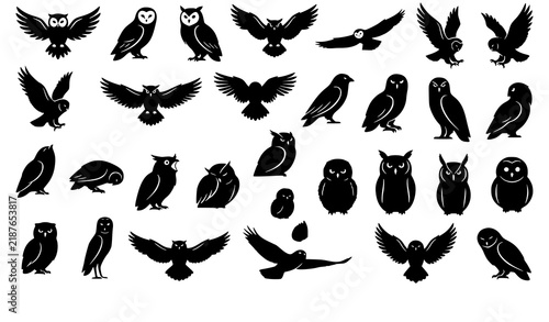 Wild Owl Black Silhouette Vector Icons in Flying and Natural Poses