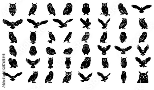 Owl Wildlife Bird Different Poses Black Silhouette Vector Icon Set