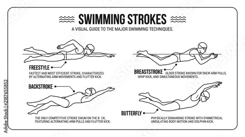 Visual guide to major competitive swimming stroke techniques.
