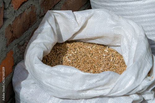 Konstfotografi High angle view of a white woven sack filled with raw harvested wheat grains standing against a rustic red brick wall