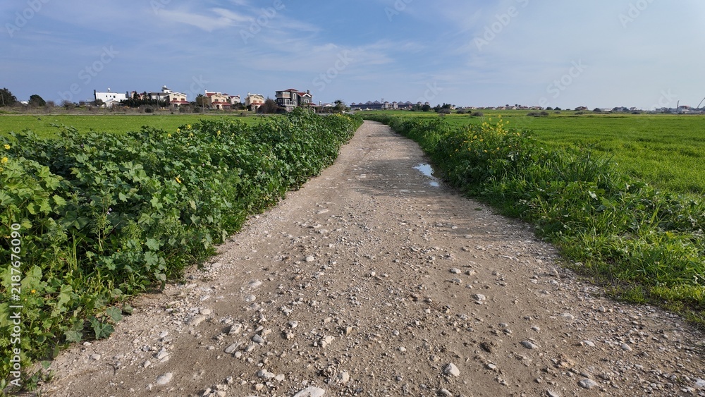 Obraz premium A dirt road runs through green fields toward quiet countryside houses under a cloudy sky, creating a peaceful and simple rural atmosphere.