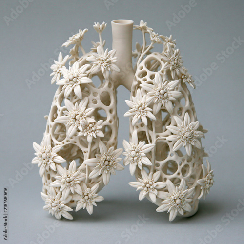 Lungs Adorned with Flowers: An artistic ceramic sculpture depicting human lungs intricately designed and adorned with delicate white flowers, symbolizing health and beauty.