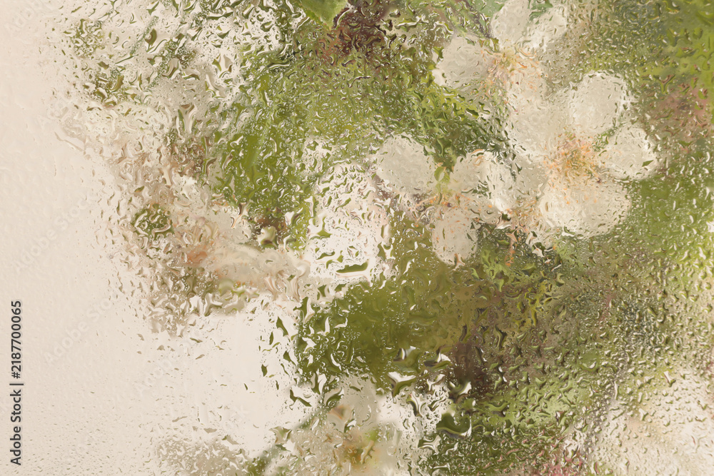 Obraz premium Soft focus green, beige pink Leaf foliage and spring Flower bouquet through glass with wet water drops. Abstract natural blur background.