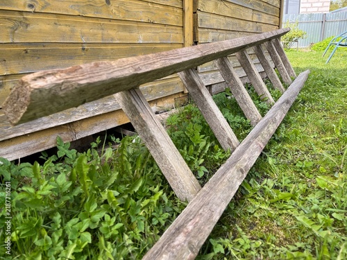 Old wooden ladder resting on grass beside a wooden structure in a backyard area